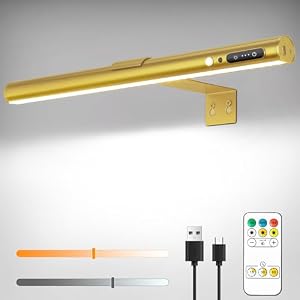 ENCOFT 40cm Akku Bilderleuchte mit Bewegungsmelder