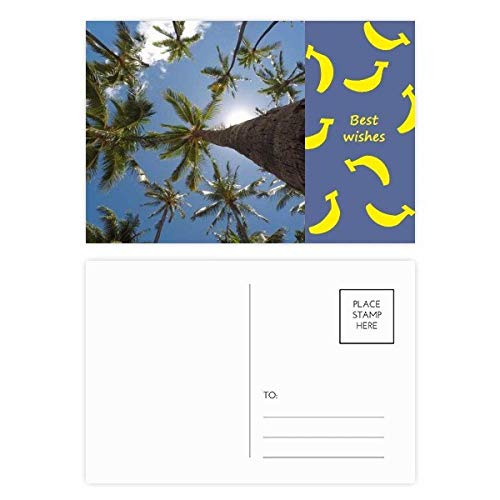 Jeu de cartes postales paysage soleil et arbre bleu lot de 20 petites cartes de correspondance