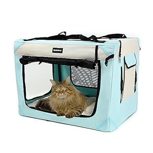 Large Cat Carrier, Collapsible Dog Travel Crate Portable Soft-Sided Pet Carrier with Super Soft Warm Plush Mat for Indoor and Outdoor 24x16x16in,Sky Blue