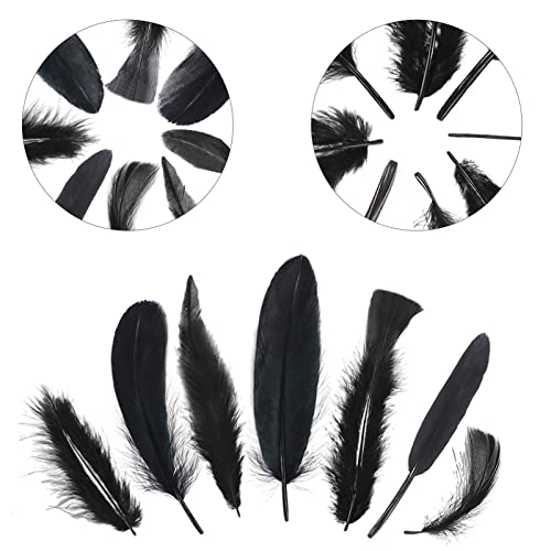 Marforever Black Craft Feathers 8 Styles - 320 Pcs Assorted Mixed Natural Feathers Black Goose Feathers For Diy Crafts Dream Catcher Halloween Costume Wedding Home Party Decoration #TOP4