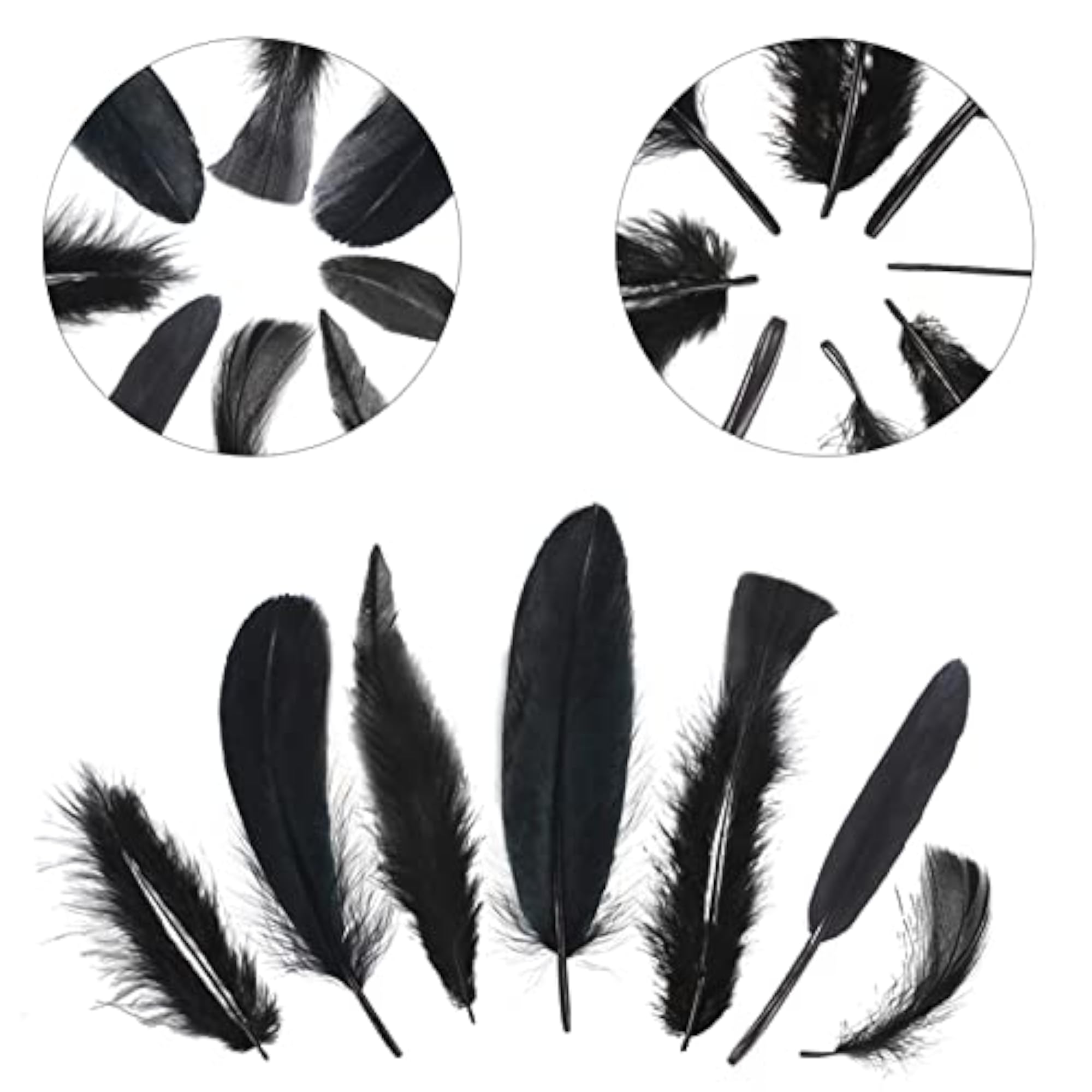 320 Pcs Mixed Natural Feathers for Craft Making