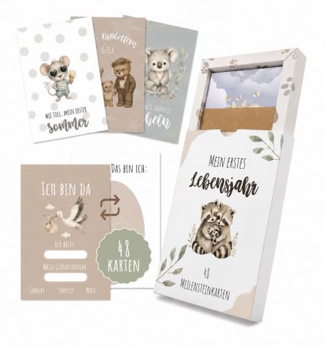 QUARISS Lot de 48 cartes jalons - Cadeau de naissance - Cartes photo pour la première année