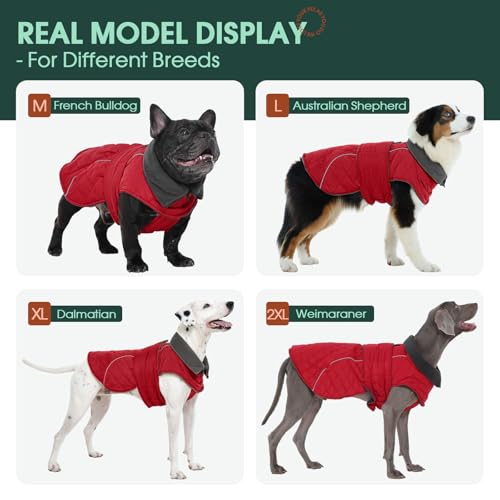 Kuoser Hundemantel Wasserdich Winterjacke für Große Hunde, Warmer Hunde Mantel mit Fleece, Reißverschluss-Leinenöffnung, 2XL Rot