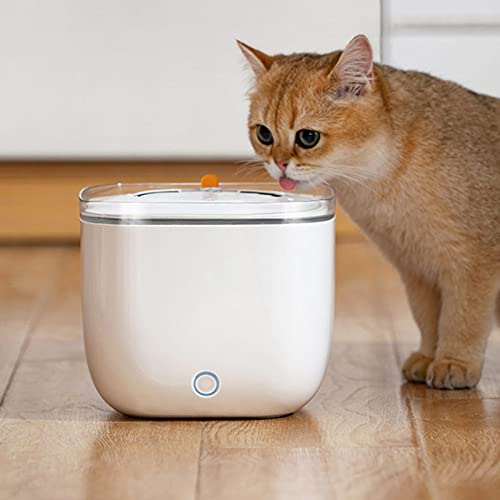 Fuente automática para agua de perros y gatos miniatura 4