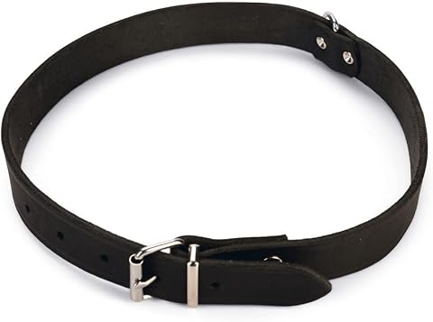 Karlie Deri Evcil Hayvan Boyun Tasması, 27 cm-10 mm, Siyah