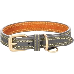 Flamingo Collier pour Chien Virginia Gris XS/S 24-30cm 15mm – avec Un Anneau pour étiquette d&rsquo;identification – Cousu pour Une Plus Grande résistance