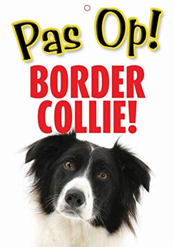 Otterhouse Gift PAS OP Border Collie