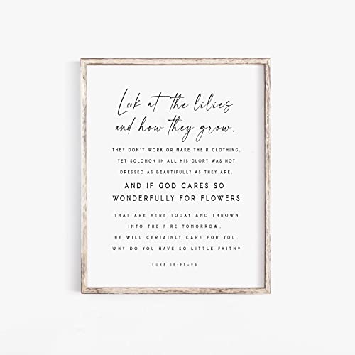 Luke 12:27-28 Look At The Lilies And How They Grow
