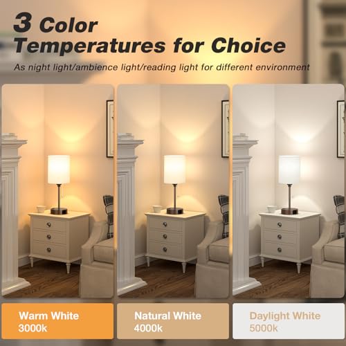 Image of Small Bedside Table Lamp for Bedroom, Desk Lamp with USB Ports for Dorm