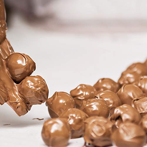 Holdsworth Chocolates Occasions Collection - Classic Marc de Champagne Milk Chocolate Truffles in Gift Box 185g