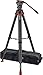 Sachtler SACH-0795 System FSB 8 Sideload with Flowtech75 Carbon Fiber Tripod with Mid-Level Spreader & Rubber Feet