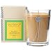 Votivo Aromatic Candle Island Grapefruit