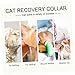 POPETPOP Elizabeth Circle Kitten Collars Adjustable Puppy Collars for Litter Dog Collars for Puppies Cat Recovery Collar Cat Recovery Neck Cone Cat Kitten Recovery Collar Pets Puppy Cone