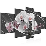 Blumen Orchidee Bild auf Vlies Leinwand 5 Teilig Abstrakt Rosa Grau Wandbilder Schlafzimmer 202953c