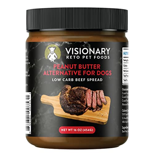 10 Best Dog Food Alternatives That Your Pooch Will Love A Definitive