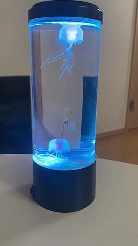 Amazon | 【脳がとろける癒しのクラゲショー】ARTUS8 星降る