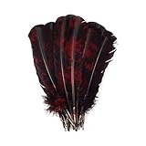 Zucker Loose Turkey Feathers - (25 Pack) Right Curving Natural Bulk Feathers for...