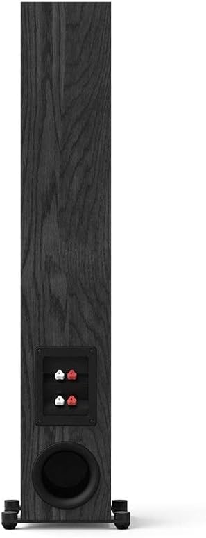 Monolith T4 Tower Speaker - Powerful Woofers, Punchy Bass, High Performance Audio, for Home Theater System - Audition Series