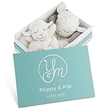 Lovey Security Blanket Gift Set of 2 for Baby Boy or Girl - Sweet Loveys for Babies Blankets with Lamb Stuffed Animals - Ultra Soft, Handmade - The Poppy and Pip Newborn Cuddle Blankie