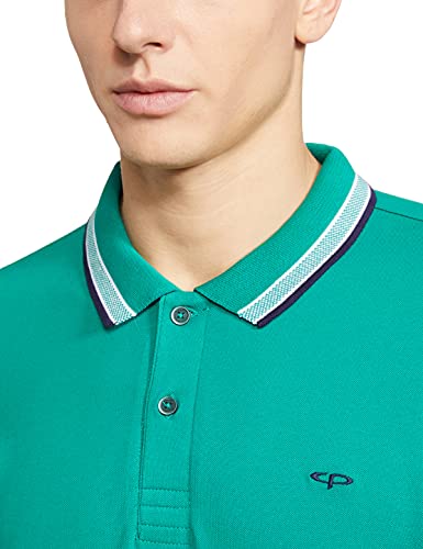 Image of Colorplus Men's Pure Cotton Solid Pattern Tailored Fit Polo Neck Half Sleeve Casual T-Shirt