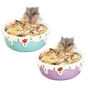 VanEnjoy 2 Pack Hamster Food Bowl Small Ceramic Water Food Bowl for Cage Small Animal Bowls for Hamster Guinea Pig Chinchilla Rabbit – Blue and Purple
