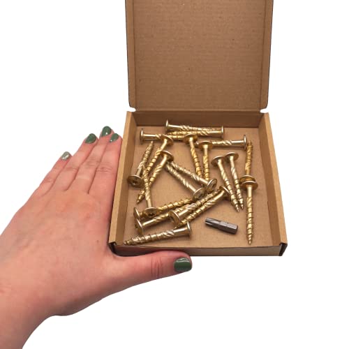 Marcopol (Pack of 20 pcs) Galvanized Steel 6.0 x 50 mm Yellow Wood Screws, Torx Head, Wafer Head, Timber Screws - Image 3