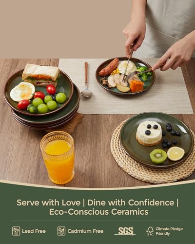 Image of Pokini Ceramic Dinner Plates Set of 6, 10inch Salad, Dessert Plates Dishes