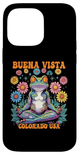 Buena Vista �R�����h USA ���ς��ȃJ�G�� �T�f�U�C�� �X�}�z�P�[�X iPhone 14 Pro Max �p