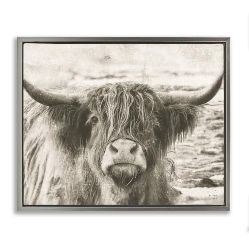 Highland Cattle Gazing Country, 17 x 21 Inch Canvas in Floater Frame