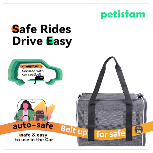 petisfam Soft Pet Carrier Bag for Cats and Puppy Under 20 lbs. Sturdy, Safe, Comfortable and Lightweight - Image 4