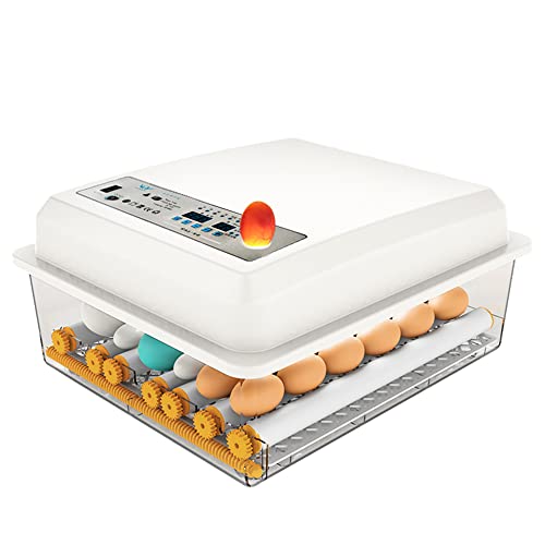 Produktfoto von Eggs Hatching Incubator – Vollautomatischer Inkubator, Temperaturregelung, Feuchtigkeitsanzeige, automatischer&hellip;