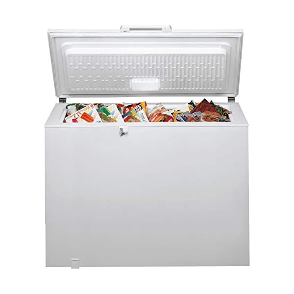 Bauknecht GTE 220 Gefriertruhe / 215 L / Space-Max/ Door Balance/ Supergefrierfunktion / Kindersicherung, Weiss – Bild 3