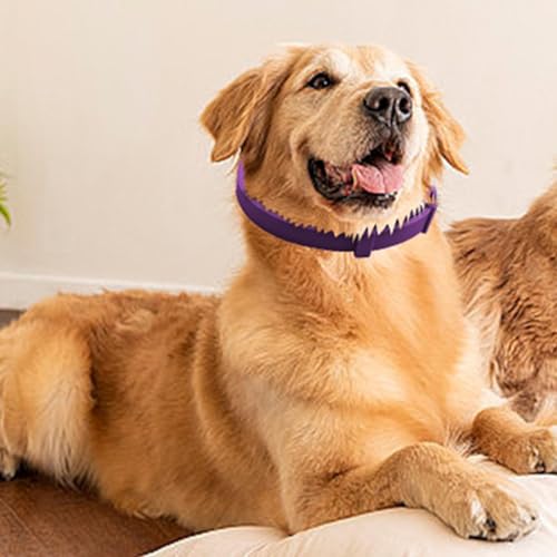 Beruhigendes Hundehalsband, Haustierhalsband zur Beruhigung | 4-teilige Langzeit-Entlastungshalsbänder mit einstellbarer Länge bis zur Trennung | Beruhigendes Zubehör für Jahr