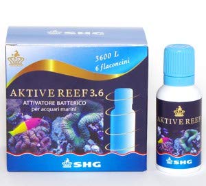 SHG w Suela Aktive Reef 3.6
