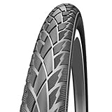 Schwalbe