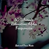 Rest and Focus Music