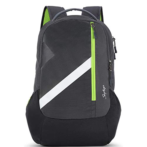 30 Ltrs Grey Laptop Backpack (TEKIE 06 