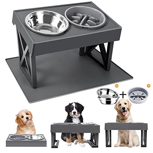 The Best Raised Dog Bowls in 2024 Baking History