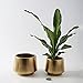 Decor Trends Gold Planter Flower Pots 6 inch Decorative Plant Pots for Indoor Gold Brass Succulent Plant Pots Containers (Dia 6 inch), Small 5.9‘’