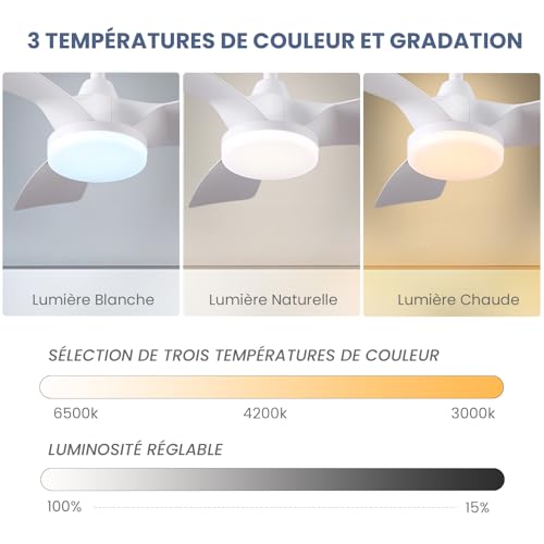 Ventilateur de plafond blanc 81 cm CJOY avec éclairage LED et télécommande
