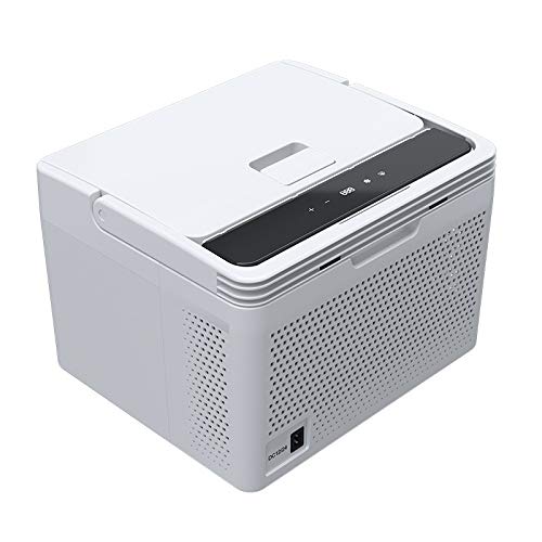 FBITE 10L portátil 12v 220v Coche Camping Coche Nevera congelador refrigerador pequeño Viaje refrigerador refrigeración y Nevera Caliente para Coche
