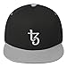 Hogue WS LLC Tezos Hat (Embroidered Flat Bill Snapback Cap) XTZ Crypto Black/Grey