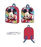 HARRY POTTER SACO MICKEY 40x35 CMS