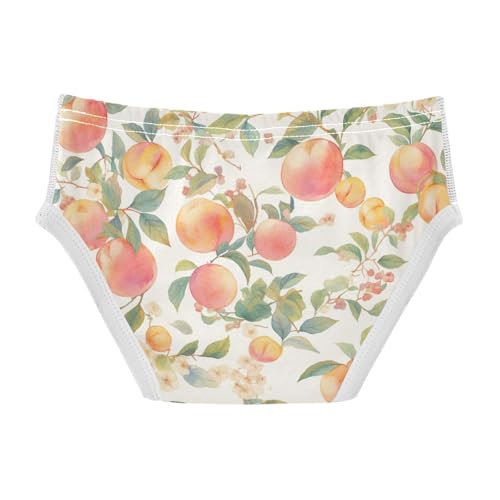 KLL Watercolor Peaches Toddler Boys Comfort Underwear Cute Children Undies2