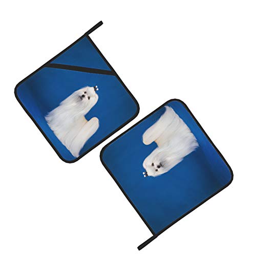 Long Hair Maltese White Pet Hot Pad Heat Resistant Pot Holder 2 Pcs Pot Holders With Pockets 8×8 Inch For Cooking And Baking #TOP1