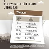 ReaVET Premium Hunde Nassfutter - Pferd Pur 12 x 400g I Reines Muskelfleisch, Hypoallergen, ohne Getreide & Zusätze, Hundenassfutter sensitiv für Allergiker