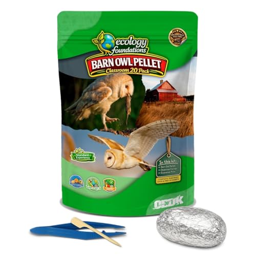 Image of Barn Owl Pellets for Dissection for Classrooms, Medium 20-Pack Kit by OBDK | Forceps, picks and instructor guide included, life science and ecology, bone sorting chart, hands-on lab activity