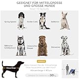 PawHut Hundewagen Hundebuggy mit Netzfenstern, Klappbarer Katzenwagen mit Sicherheitsleine, große Gummiräder für Mittelgroße, Große Hunde bis 30 kg, Oxford, Blau