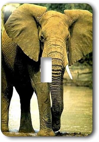 3dRose lsp_509_1 " African Elephant Single Toggle Switch image 5