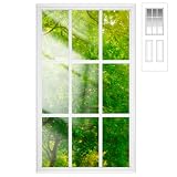 Pushglossy 20x36 9-Lite Insert